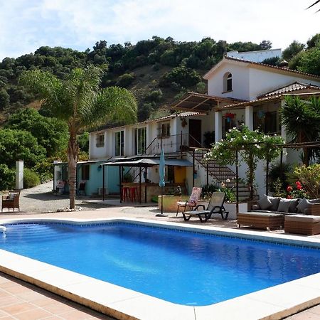 Vegan Guesthouse Finca Pereila Coín Extérieur photo