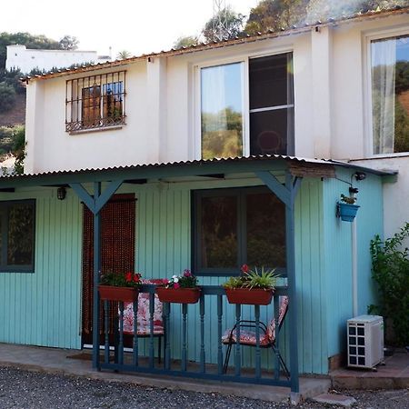 Vegan Guesthouse Finca Pereila Coín Extérieur photo