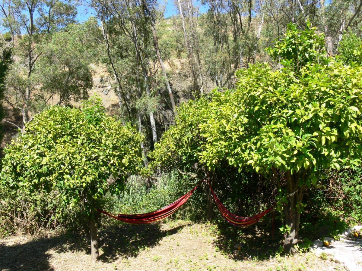 Vegan Guesthouse Finca Pereila Coín Extérieur photo