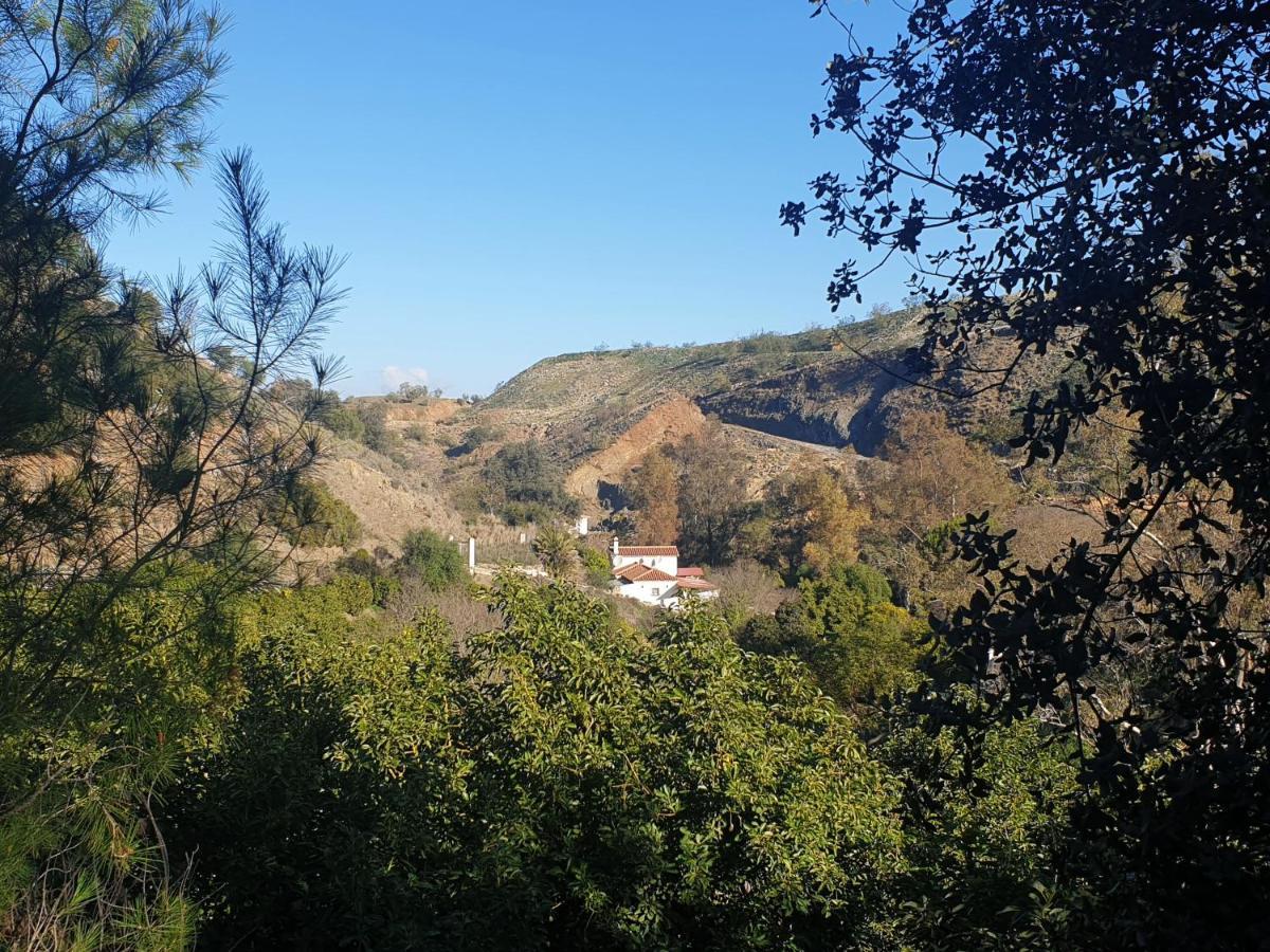 Vegan Guesthouse Finca Pereila Coín Extérieur photo
